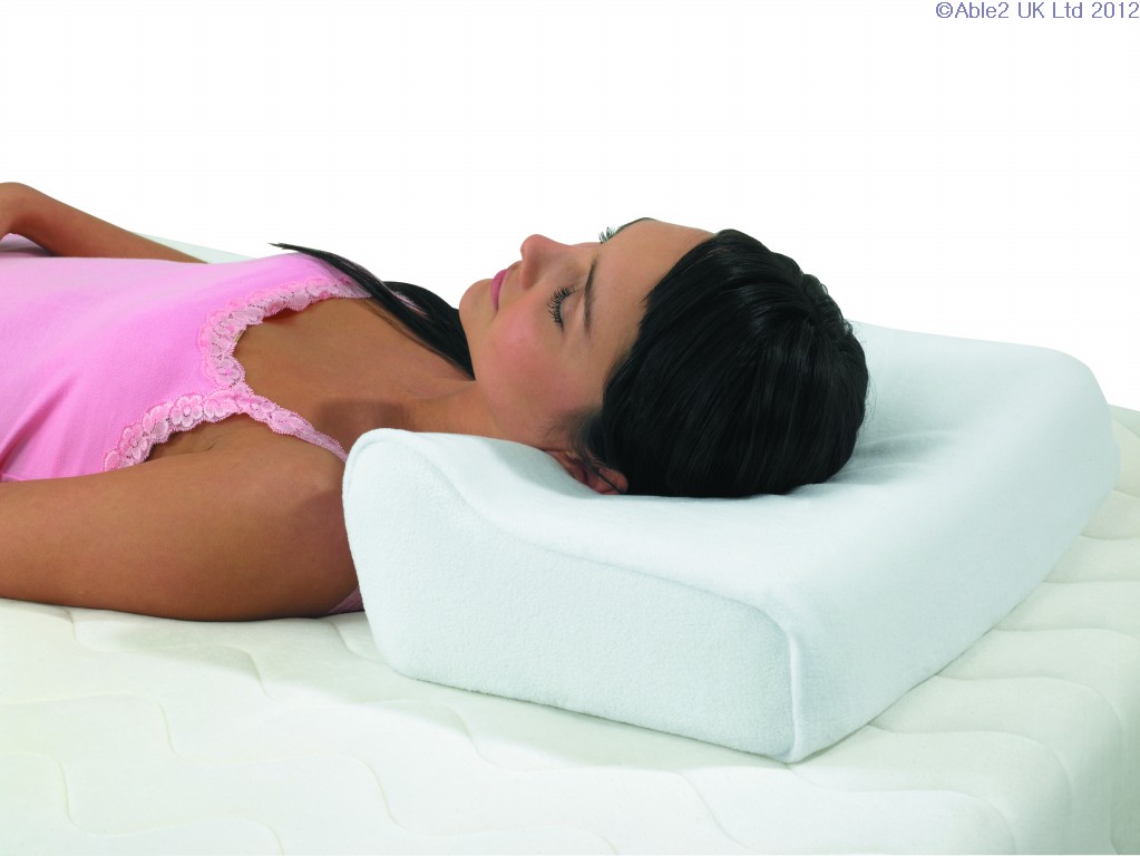 Featured image for “Harley Designer Pillow”