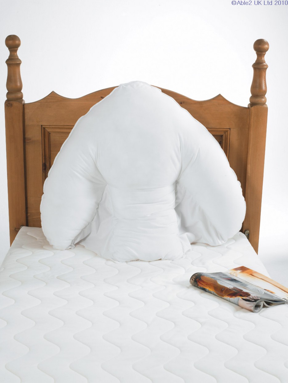 Featured image for “Harley Batwing Pillow”