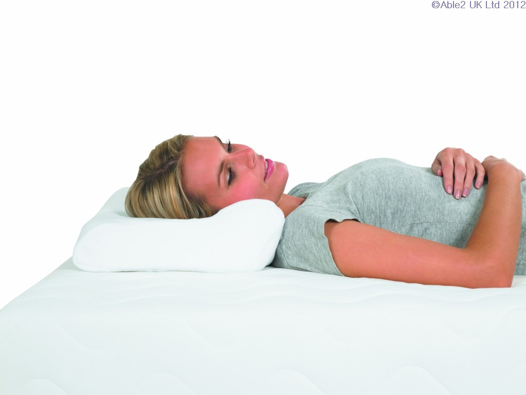 Featured image for “Harley Original Pillow”