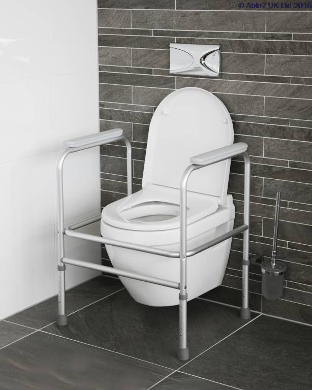 Atlantis Toilet Frame - Image 2